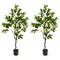 Costway 1/2 PCS 4 FT Tall Artificial Lemon Tree with Lemon Fruits, Cement Pot for Porch, Office